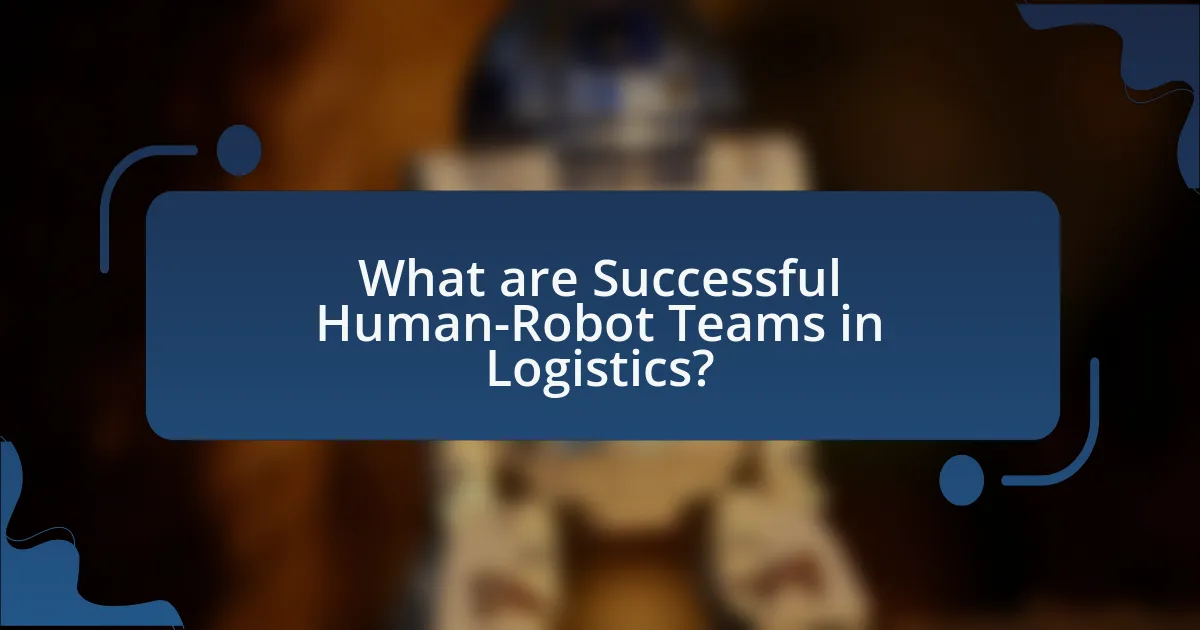 What are Successful Human-Robot Teams in Logistics?