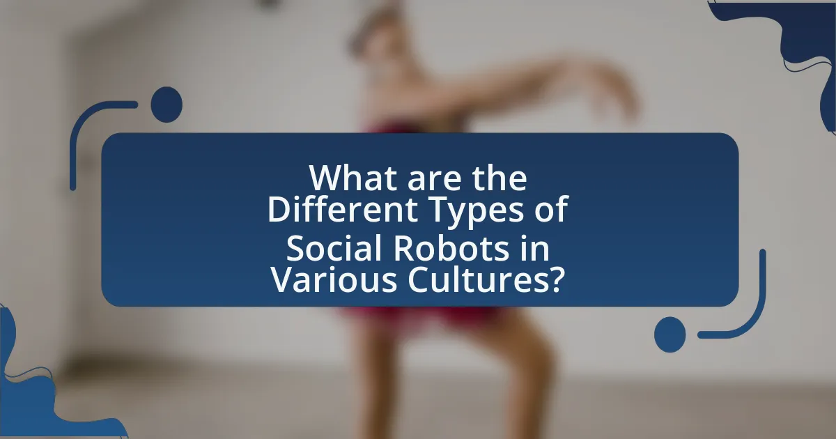 What are the Different Types of Social Robots in Various Cultures?