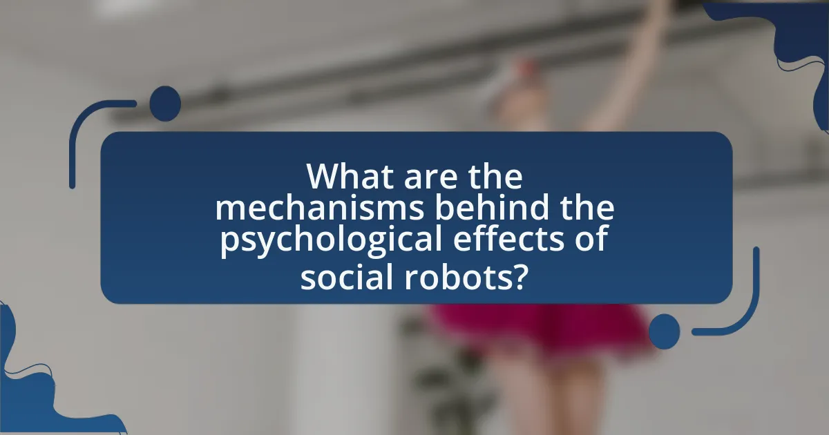 What are the mechanisms behind the psychological effects of social robots?