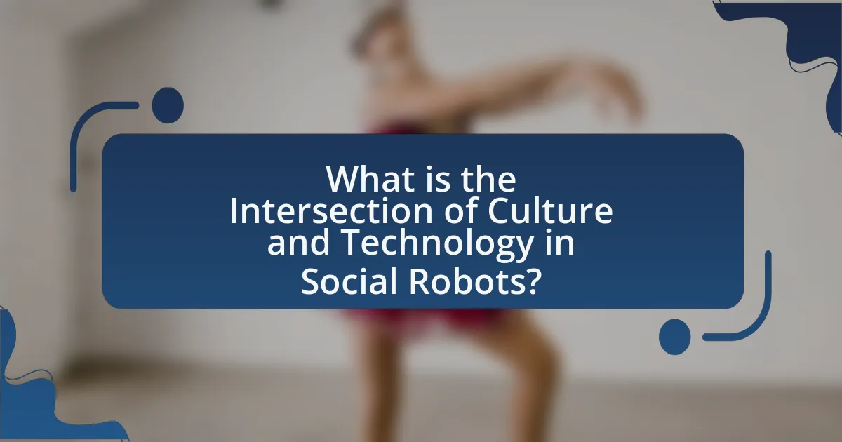 What is the Intersection of Culture and Technology in Social Robots?