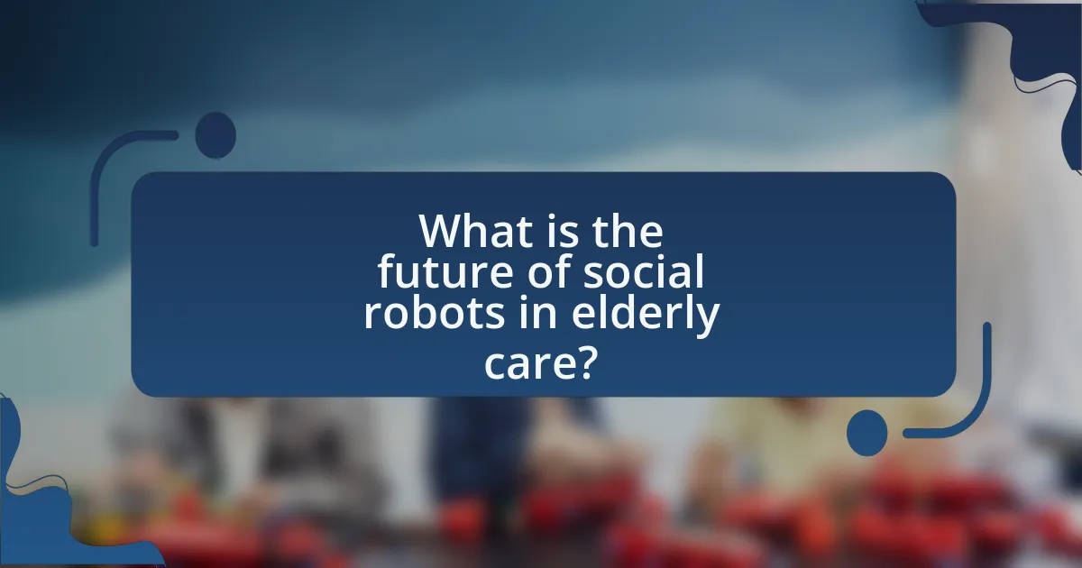 What is the future of social robots in elderly care?